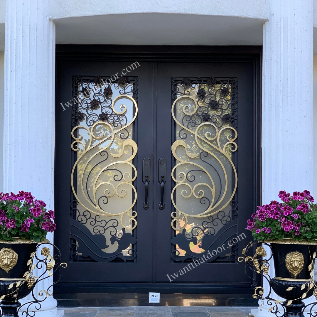 double Iron Entry Doors with Glass