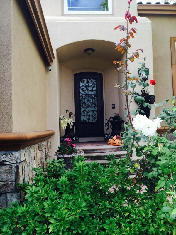 Denver Custom Top and Square Transom Double Entry Iron Doors